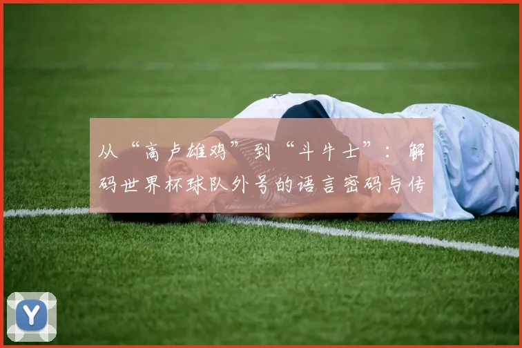 从“高卢雄鸡”到“斗牛士”：解码世界杯球队外号的语言密码与传播逻辑