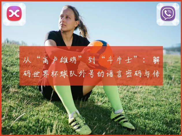 从“高卢雄鸡”到“斗牛士”:解码世界杯球队外号的语言密码与传播逻辑