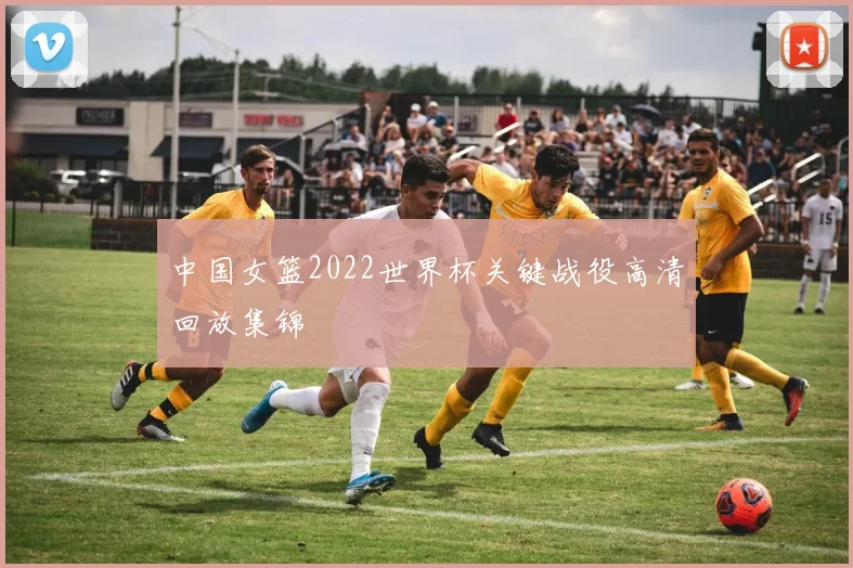 中国女篮2022世界杯关键战役高清回放集锦