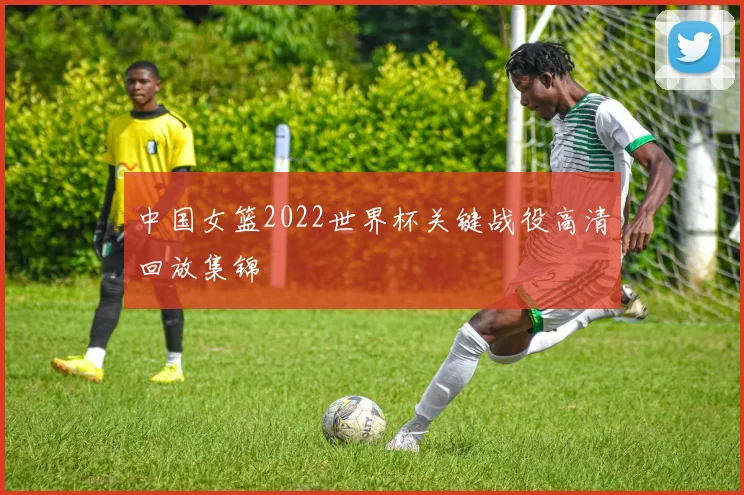 中国女篮2022世界杯关键战役高清回放集锦